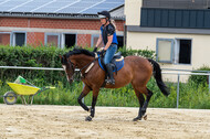 Hunter Geländetraining 10.07.2021 (Sonsbeck)