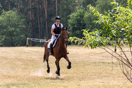 Late-Entry Vielseitigkeit Hamminkeln/Wesel (01.+02.08.2020)