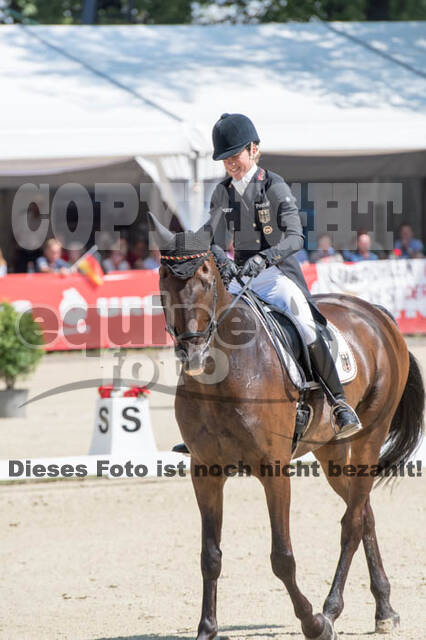 FEI European Championship Eventing 2017