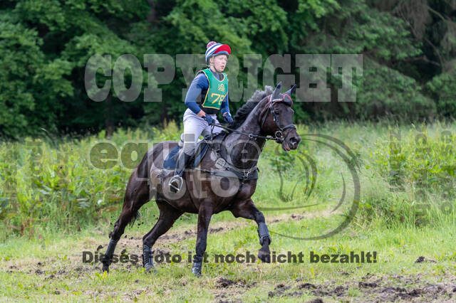 Westerstede Horse Trials (10.-13.06.2021)