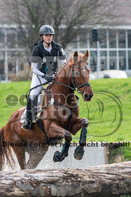 Goldene Schärpe 2020 - Pferde