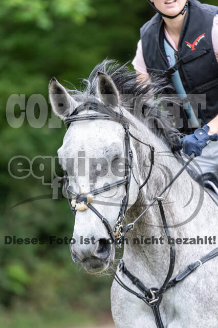 Late-Entry-Vielseitigkeit Langenfeld (11.+13./14.06.2020)