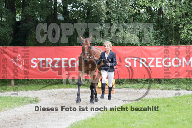 FEI European Championship Eventing 2017