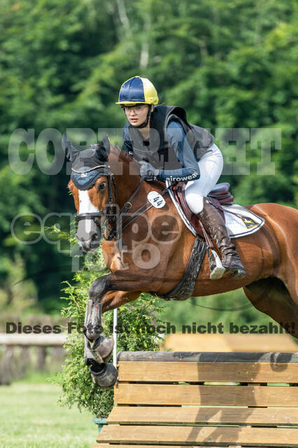 Goldene Schärpe 2021 - Ponys