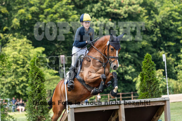 Goldene Schärpe 2021 - Ponys