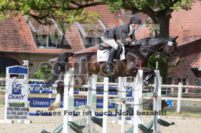 Sterne über Münster 2019 - CCI***S