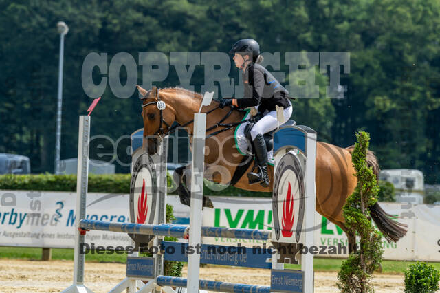 Goldene Schärpe 2021 - Ponys