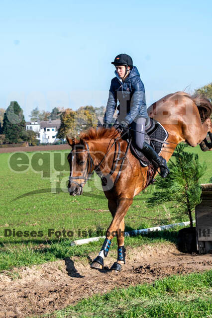 Vielseitigkeitslehrgang mit Jürg Kurbel (9.+10.11.2019)