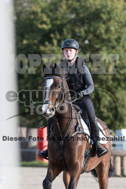 IGV Lehrgang der Sieger der Cups mit Frank Ostholt