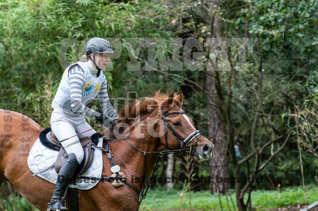 Vielseitigkeit RSV Wesel Obrighoven (26.+27.09.2020)