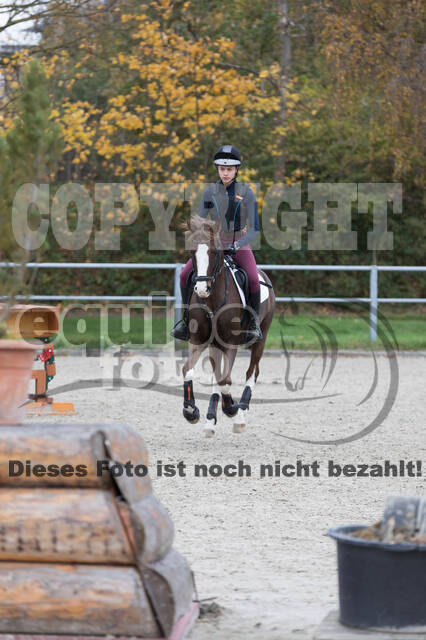 IGV Lehrgang der Sieger der Cups mit Frank Ostholt
