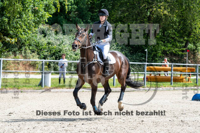 Late-Entry-Vielseitigkeit Langenfeld (11.+13./14.06.2020)