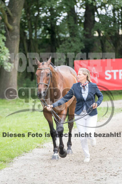 FEI European Championship Eventing 2017