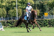 Kronenberg - De Peelbergen (August 2020)