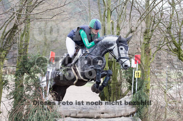 Jungpferdetag Hamminkeln