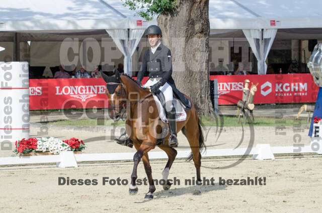 FEI European Championship Eventing 2017