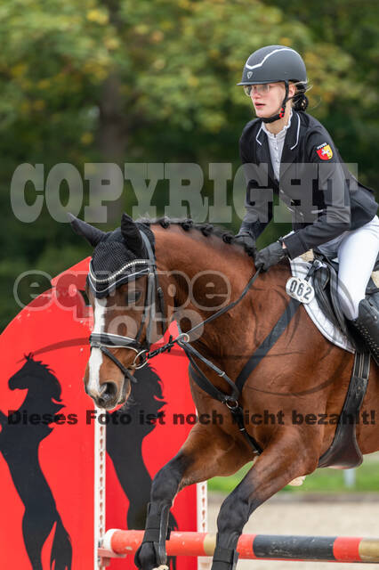 Goldene Schärpe 2020 - Pferde