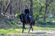 Geländetraining ZRFV Hamminkeln (24+25.04.2021)