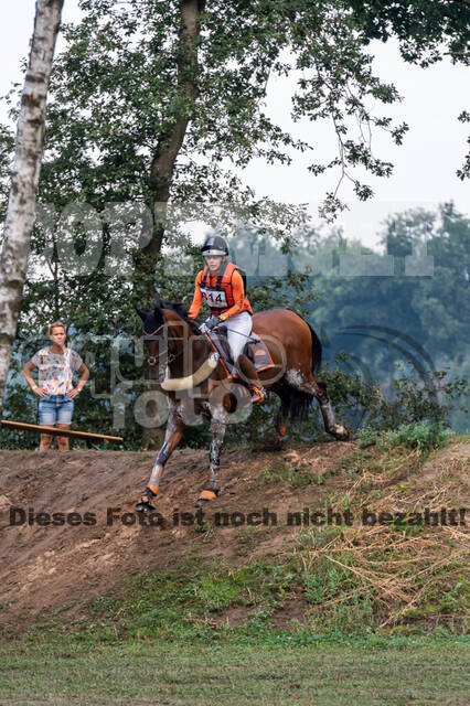 De Peelbergen (August 2020)