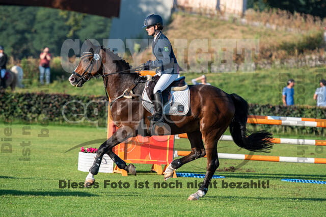 De Peelbergen (August 2020)