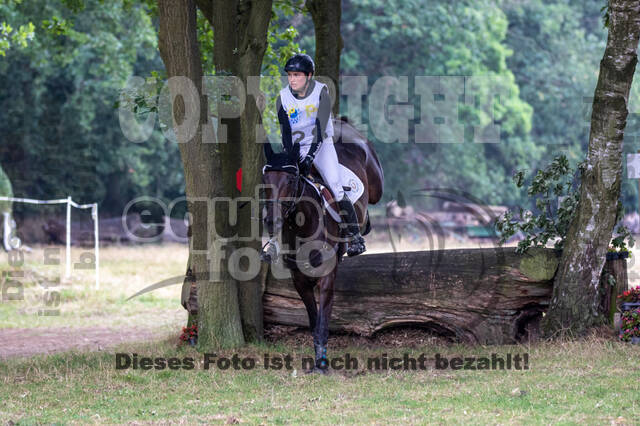 Late-Entry Vielseitigkeit Hamminkeln/Wesel (01.+02.08.2020)