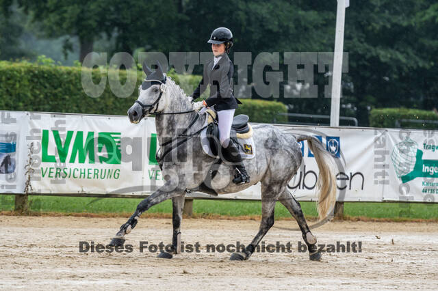 Goldene Schärpe 2021 - Ponys