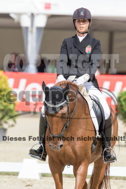 FEI European Championship Eventing 2017