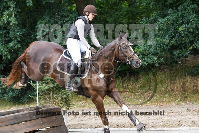 Late-Entry-Vielseitigkeit Langenfeld (11.+13./14.06.2020)