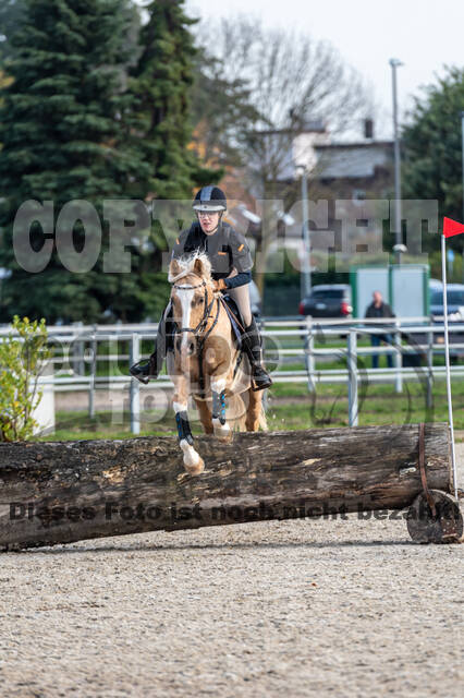 IGV Lehrgang der Sieger der Cups mit Frank Ostholt