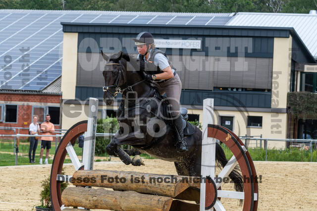 Hunter Geländetraining 10.07.2021 (Sonsbeck)
