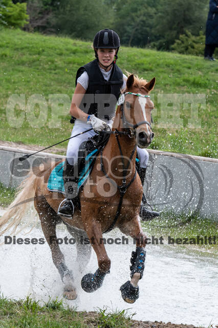 Late-Entry-Vielseitigkeit Langenfeld (06.+07.07.2020)