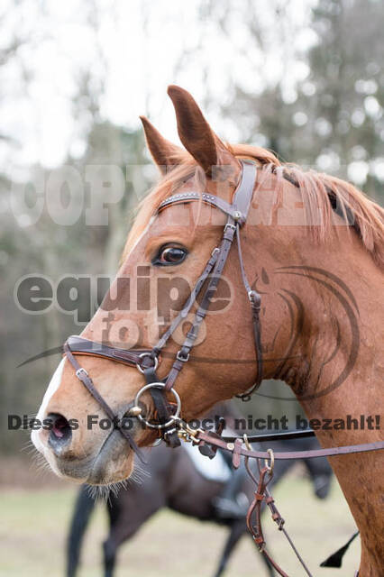 Geländetraining RSV St. Hubertus Wesel Obrighoven