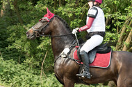 Vielseitigkeitsturnier ZRFV von Lützow Hamminkeln