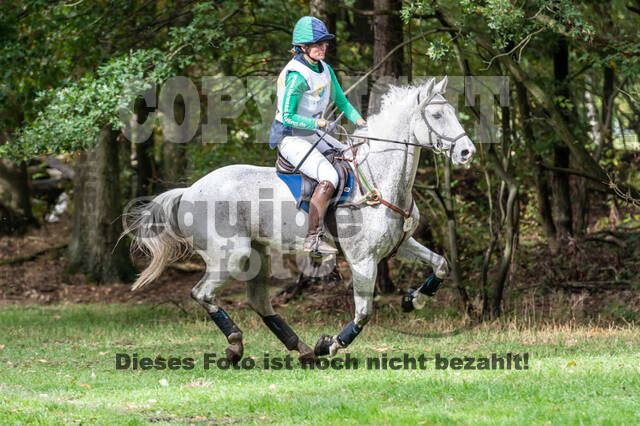 Vielseitigkeit RSV Wesel Obrighoven (26.+27.09.2020)