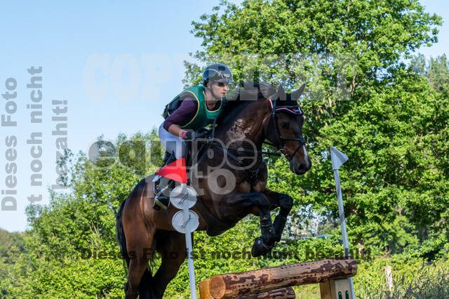 Westerstede Horse Trials (10.-13.06.2021)