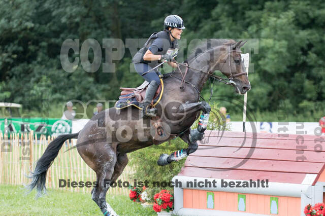 FEI European Championship