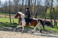 Geländetraining ZRFV Hamminkeln (24+25.04.2021)