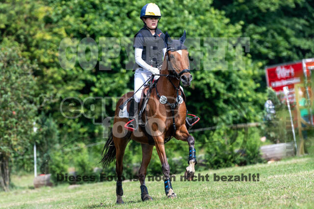 Goldene Schärpe 2021 - Ponys