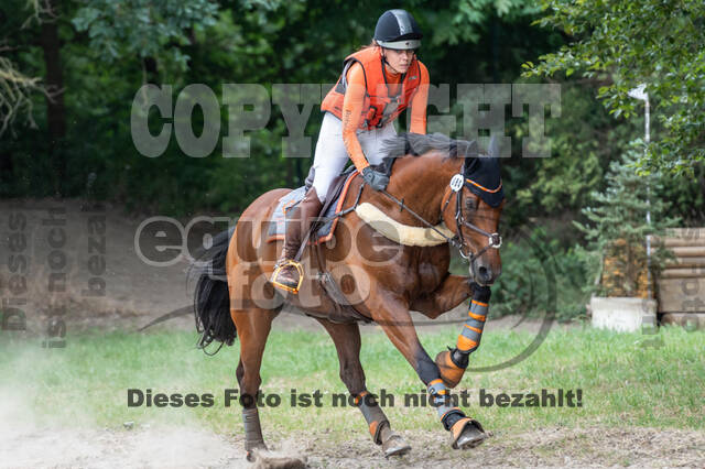 Late-Entry-Vielseitigkeit Langenfeld (11.+13./14.06.2020)
