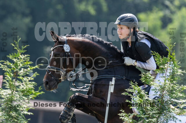 Goldene Schärpe 2021 - Ponys