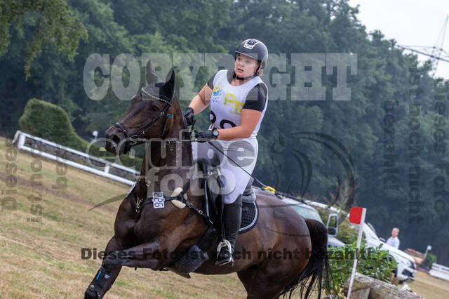 Late-Entry Vielseitigkeit Hamminkeln/Wesel (01.+02.08.2020)