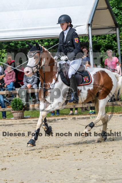 Goldene Schärpe 2021 - Ponys