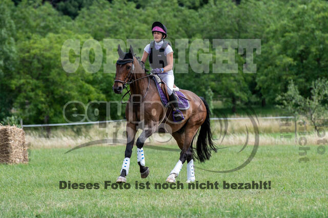 Bonn-Rodderberg Late-Entry-Vielseitigkeit (30.06.2020)