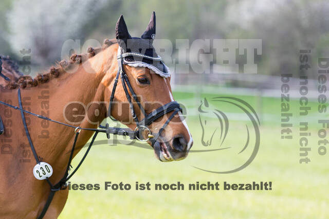 RV Seydlitz Kamp (06.+07.04.2019)