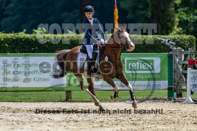 Goldene Schärpe 2021 - Ponys