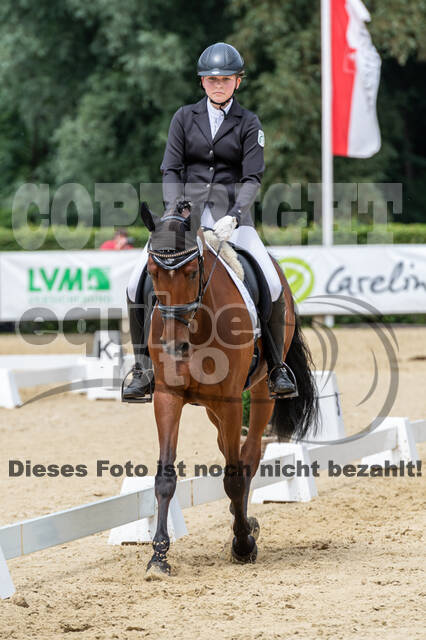Goldene Schärpe 2021 - Ponys