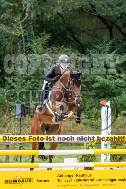 Vielseitigkeit RSV Wesel Obrighoven (26.+27.09.2020)