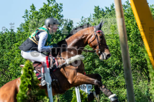 Westerstede Horse Trials (10.-13.06.2021)