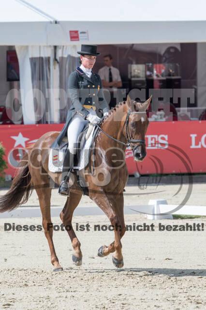 FEI European Championship Eventing 2017