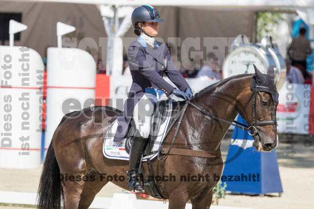 FEI European Championship